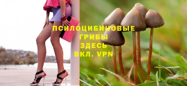 амфетамин Алексин